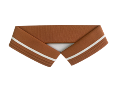 Cổ áo polo